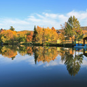 ���� ��� ����������� ��������