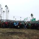 ���� ��� ����������� ��������