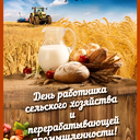 ���� ��� ����������� ��������