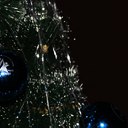 ���� ��� ����������� ��������