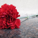 ���� ��� ����������� ��������