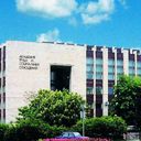 ���� ��� ����������� ��������