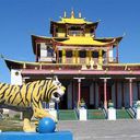 ���� ��� ����������� ��������