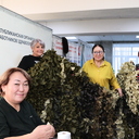 ���� ��� ����������� ��������