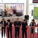 ���� ��� ����������� ��������