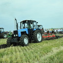 ���� ��� ����������� ��������