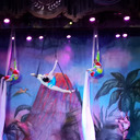 ���� ��� ����������� ��������